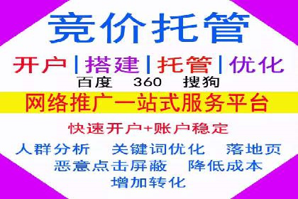 顶级SEM服务公司案例解析